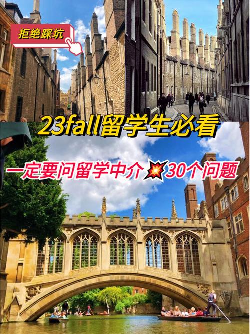 中介坑里的宝子,尤其是现在取消了自费出国留学中介服务机构资格认定